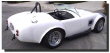 mycobra10